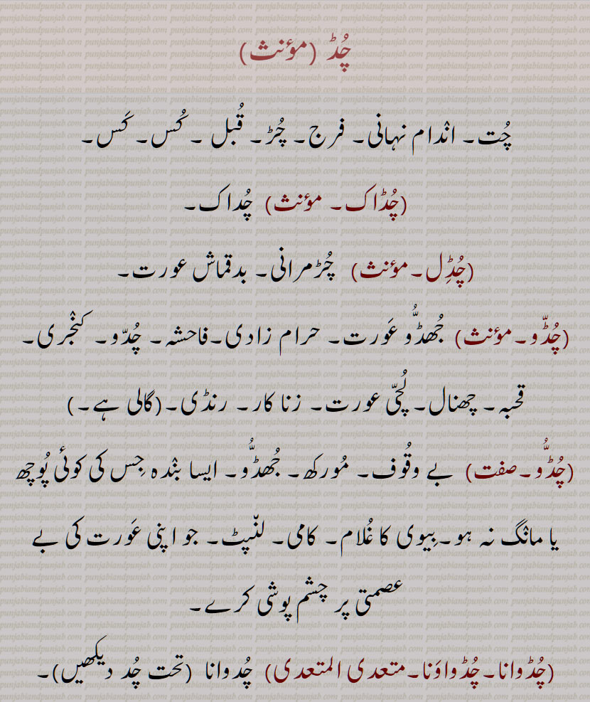 چڈ,چُڈ,چڈاک,چُڈاک,چُڈل,چڈل,چُڈِل,چُڈّو,چُڈو,چڈو,چُڈوانا۔چُڈواوَنا,چُڈوانا۔چڈواونا,ਚੁੱਡ, chudd, ਚੁੱਡੋ ,chuddo,Jhuddo,ਚੁੱਡੂ, chuddu, chuddoo,ਚੁੱਤੂ, chuttu, chuttoo,jhuddu, jhuddoo, 