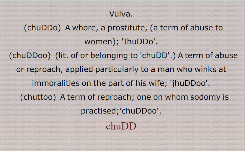 چڈ,چُڈ,چڈاک,چُڈاک,چُڈل,چڈل,چُڈِل,چُڈّو,چُڈو,چڈو,چُڈوانا۔چُڈواوَنا,چُڈوانا۔چڈواونا,ਚੁੱਡ, chudd, ਚੁੱਡੋ ,chuddo,Jhuddo,ਚੁੱਡੂ, chuddu, chuddoo,ਚੁੱਤੂ, chuttu, chuttoo,jhuddu, jhuddoo, 