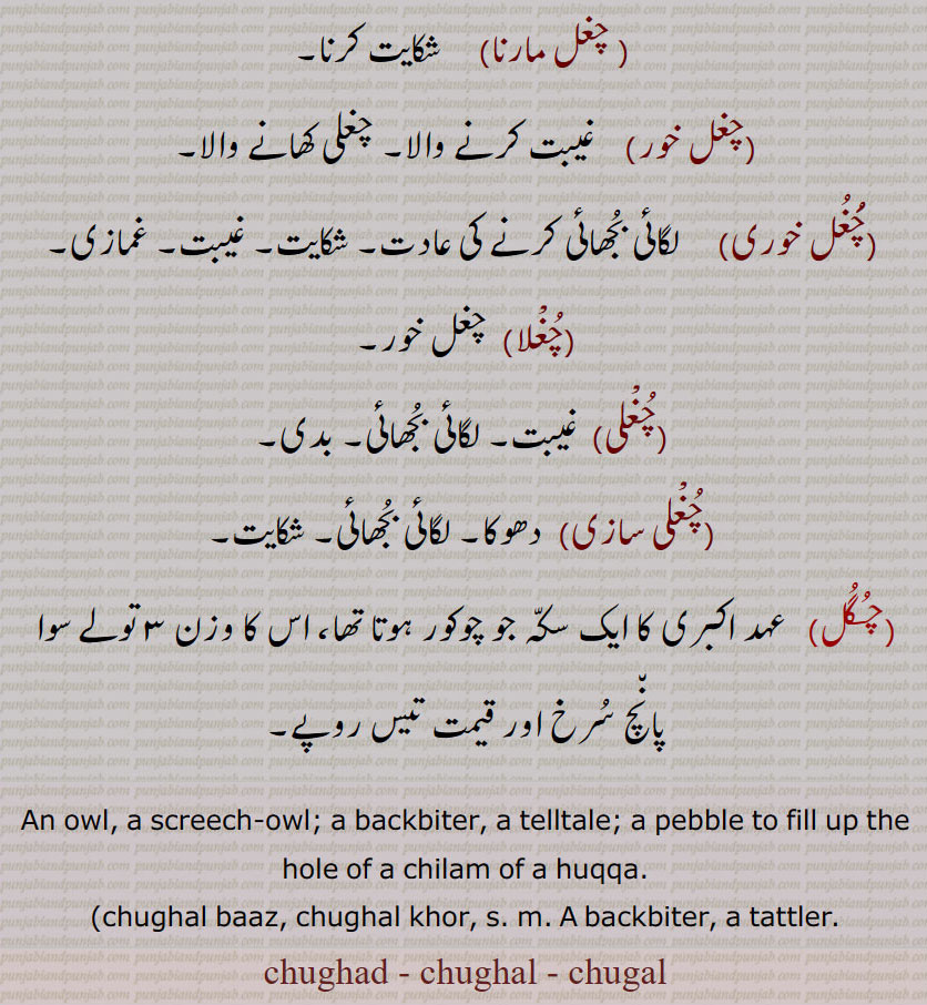   chughad, chughal, chugal, ਚੁਗਦ, ਚੁਗਲ, chughal an owl screech owl. backbiter telltale. pebble to fill up hole chilam of huqqa. chughal baaz chughal khor. backbiter. tattler. chughad. chughal. chugal.چغد۔ چغل۔ چگل۔ الو۔ رات کو چھوٹے جانور مار کھاتا ہے۔ الو جیسا۔ سورج کی روشنی میں آنکھ نہیں کھلتی۔ بل بتوری۔احمق۔ بے وقوف۔ سادہ لوح۔ چغد بول جانا۔ تباہ ہونا۔ برباد ہونا۔ لترا۔ سخن چیں۔ غماز۔ لگائی بجھائی کرنے والا۔ جاسوس۔ مخبر۔ چغلی۔ کنکر جس سے چلم حقہ کی تمباکو سے پہلے گٹی گیٹی۔ چغل مارنا۔ شکایت کرنا۔ چغل خور۔ غیبت کھانے والا۔چغل خوری۔ لگائی بجھائِ کرنے کی عادت۔ غمازی۔ چغلا۔ چغل خور۔ چغلی۔ غیبت۔ بدی۔ چغلی سازی۔ دھوکا۔ چگل۔ عہد اکبری کا سکہ جو چوکور تھا۔ 