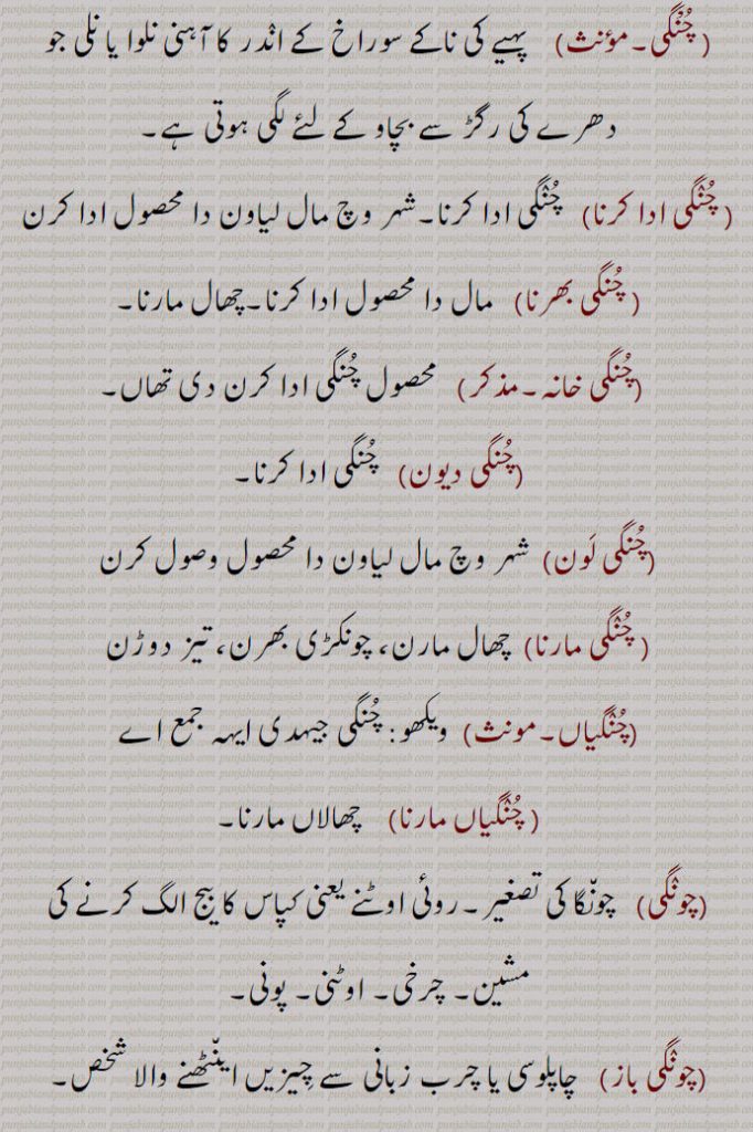     <meta name="description" content="چنگ , پِپّا, چرانگلی, چونگ, چنگی, چنگاں,چنگ چور,چنگی, چوکڑی بھرنا, چنھی بینٹھ,چنگی,چنگی ادا کرنا, چنگی بھرنا,چنگی خانہ,چنگی دیون,چنگی لون, چنگی مارنا, چونکڑی بھرن,چنگیاں,چنگیاں مارنا,چونگی,  چونگا,چونگی باز,چونگ, چرانگلی, چنگ,چونگڑا,چونگھ,چونگنی,چُونگھنی, چوسنی,چونگھا,چونگھا,چونگھا کٹنا,چونگھا کڈھنا,چونگھ ڈھاب,چونگی, چڑونگلی,چونگی, چنگنی, چنگی,ChauNga; Pippa; Pippu; Boucerosia edulis Edgew, Boucerosia stocksiana Boiss, Boucerosia edulis. kotwal,choNggi,  ਚੋੱਗੀ ,Toll,choNggi karn,chuNggi,   ਚੁੰਗੀ,small portion of anything.chuNgi,  ਚੁੰਗੀ ,chuNgi khana, ਚੁੰਗੀ ਖਾਨਾ,chuNgi bharni,ਚੁੰਗੀ  ਭਰਨੀ,Chongmongo,chooNGRa,  ਚੂੰਗੜਾ,chuNgghai,   ਚੁੰਘਾਈ,  A wetnurse,wages of a wetnurse,chuNgghana, ਚੁੰਘਣਾ ,To suck,chuNgghauna,  ਚੁੰਘਾਉਣਾ ,chuNgni,  ਚੂੰਗਣੀ,چنگ,chuNg, ਚੁੰਗ,, shahmukhi to urdu, English, meaning in Urdu,meaning in English, Dictionary,Punjabi To Urdu Translation,Shahmukhi Punjabi, شاہ مکھی پنجابی لغت, ਪੰਜਾਬੀ,">
