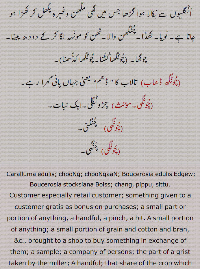     <meta name="description" content="چنگ , پِپّا, چرانگلی, چونگ, چنگی, چنگاں,چنگ چور,چنگی, چوکڑی بھرنا, چنھی بینٹھ,چنگی,چنگی ادا کرنا, چنگی بھرنا,چنگی خانہ,چنگی دیون,چنگی لون, چنگی مارنا, چونکڑی بھرن,چنگیاں,چنگیاں مارنا,چونگی,  چونگا,چونگی باز,چونگ, چرانگلی, چنگ,چونگڑا,چونگھ,چونگنی,چُونگھنی, چوسنی,چونگھا,چونگھا,چونگھا کٹنا,چونگھا کڈھنا,چونگھ ڈھاب,چونگی, چڑونگلی,چونگی, چنگنی, چنگی,ChauNga; Pippa; Pippu; Boucerosia edulis Edgew, Boucerosia stocksiana Boiss, Boucerosia edulis. kotwal,choNggi,  ਚੋੱਗੀ ,Toll,choNggi karn,chuNggi,   ਚੁੰਗੀ,small portion of anything.chuNgi,  ਚੁੰਗੀ ,chuNgi khana, ਚੁੰਗੀ ਖਾਨਾ,chuNgi bharni,ਚੁੰਗੀ  ਭਰਨੀ,Chongmongo,chooNGRa,  ਚੂੰਗੜਾ,chuNgghai,   ਚੁੰਘਾਈ,  A wetnurse,wages of a wetnurse,chuNgghana, ਚੁੰਘਣਾ ,To suck,chuNgghauna,  ਚੁੰਘਾਉਣਾ ,chuNgni,  ਚੂੰਗਣੀ,چنگ,chuNg, ਚੁੰਗ,, shahmukhi to urdu, English, meaning in Urdu,meaning in English, Dictionary,Punjabi To Urdu Translation,Shahmukhi Punjabi, شاہ مکھی پنجابی لغت, ਪੰਜਾਬੀ,">
