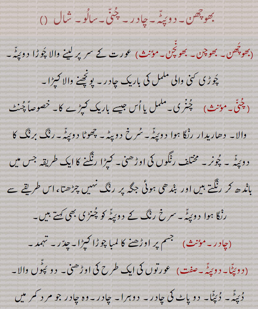  , ,بوچھن ,بھوچھن, بھوچن, بھونچن,چنی, چنری, چنڑی,چادر,سالو,شال, دوشالہ,دوپٹہ,bhochhan,  ਭੋਛਣ,chunaRi,   ਚੂਨਡ਼ੀ,chunni,  ਚੁੰਨੀ,chaadar, ਚਾਦਰ,doopaTTa, ਦੁਪੱਟਾ,saaloo,   ਸਾਲੂ,shaal,   ਸ਼ਾਲ,, 