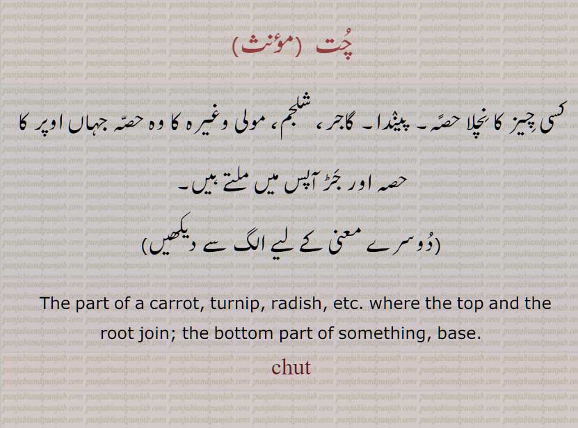 ,base.chut, ਚੁਤ, root join, base,چُت , پیندا, بچلا حصہ,  جڑ