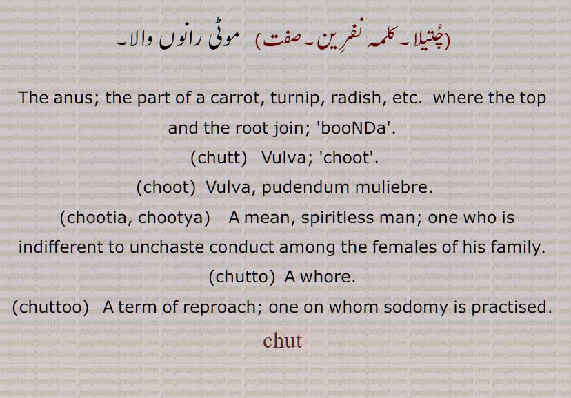  چت  , پیندا,  , شرمگاہ نسوانی , فرج۔ چوت ۔اندام نہانی۔بونڈا ۔مقعد۔,base.chut, ਚੁਤ,, ਚੂਤ, chut, choot, chútíá, ਚੂਤੀਆ chootia ,ਚੁੱਤ chutt , ਚੁੱਤੋ chutto , ਚੁੱਤੂ, chuttu,chuttoo, ਚੂਤਯਾ ,chutya,chooty,