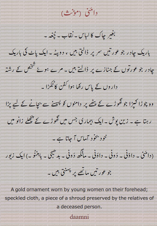  دامنی, داؤنی, دونی, داونی, مانگھ ددونی,بدھیجی, ماگدونی,ماگ دونی,باہننو,,daamani, damni, damani, daauni, dauni, ਦਾਉਣੀ,ਦੌਣੀ,Traditional Ornaments of Punjab,Jewellery,jewelry,zaiwar,زیور, ,گہنا,بُھوکھن,النکار,ٹُوم,ٹومب,ٹونب چھلا,Traditional Ornaments of Punjab, 