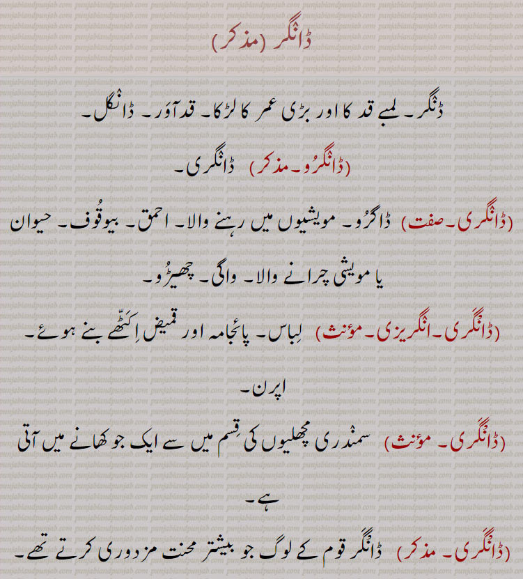    ,ڈانگرو,ڈانگری,ڈانگر,,DaaNggar,DaaNgari,DaaNgaru, ਡਾੰਗਰੂ,,  