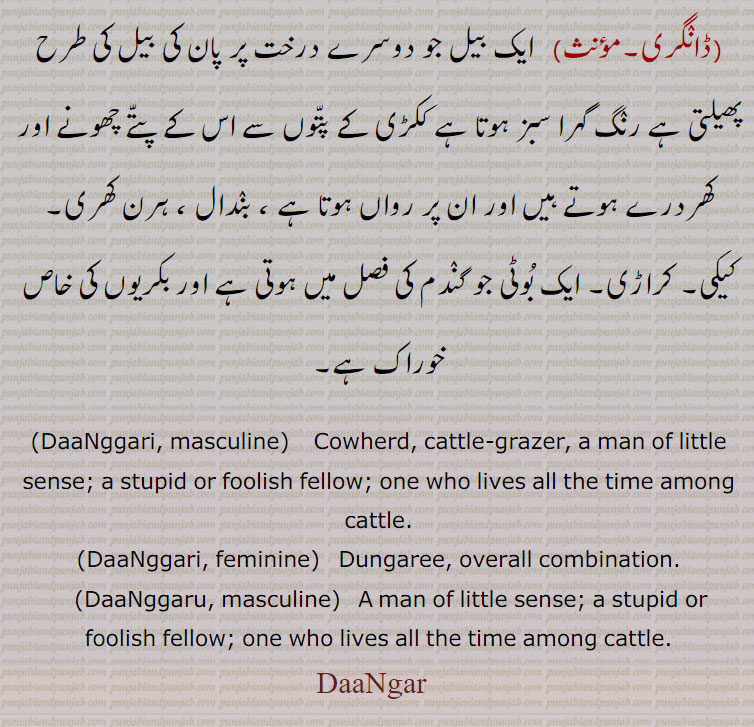    ,ڈانگرو,ڈانگری,ڈانگر,,DaaNggar,DaaNgari,DaaNgaru, ਡਾੰਗਰੂ,,  