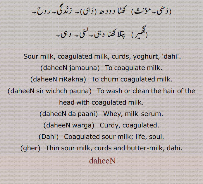    دہیں, دھئیں,دہی,جغرات,دہیں جمانا,دہیں مونہ لانا,دہیں وڑے,دہیں بھلے,دہیں بڑے,دہیں پکوڑیاں,دہیں چڑھانا,دہیں سر وچ پانا,دہی ورگا,دہیں رڑکنا,دہی متھنا,دہیں دا پانی,دہی دے بھلیوے کپاہ دی پھٹی نہیں کھائیدی,دہی دے بھلاویں کپاہ کھاونا,دہی کے دھوکے کپاس چبا جانا/ کھا جانا,دہینڈی,دہیڈی,ڈھی,گھیر,Sour milk, coagulated milk, curds, yoghurt, dahi, daheeN jamauna, daheeN riRakna, daheeN sir wichch pauna, daheeN da paani, ਦਹੀਂ ਦਾ ਪਾਣੀ, milk-serum,daheeN warga,ਦਹੀਂ ਵਰਗਾ, Dahi,Coagulated sour milk, gher, butter-milk, دہِیں , دھئیں, daheeN,  ਦਹੀਂ, 