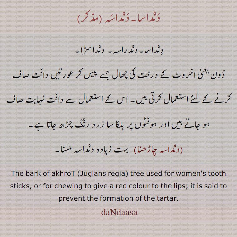    دِنٛداسا,دنٛدراسہ,دنٛداسڑا,دنداسا,دنداسہ,,دنٛداسہ چاڑھنا,dandaasa,ਦੰਦਾਸਾ, 