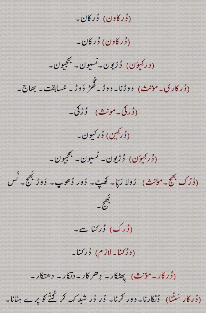   درک ,وسیلہ, درک لڑانا,درک دینا,دخل دینا,درک کرنا,درک نکلنا,درک ہوون,درک ہوونا,درکنا,پھٹنا,تریڑآنا, دست لگنا,تڑقنا, بال پڑنا, چھاتی درکنا,چٹخنا, تڑکنا,درکان,درکانا,درکینا,درکنا,درکنا,درکن, درکاری,دوڑنا, بھجاونا,درُکانا,درکاونا,درکواون,درکوان,درکان,درکاون,درکاون,درکیون,دڑیون,سیون, بھجیون,درکاری,درکی, دڑکی,درکین, درکیون,درک بھج,درکنا,درکار,  پھٹکار,دھتکار,درکار سٹنا, دتکارنا,دور کرنا,در در, کتے کے ہٹانا,درکارنا,درکارن,درکان,درکانا,درکنا,درکن,درکارن,درکاری,درکار,درکار ہوون,درک,درک,درکات,درکا,درک , darak,durk,  ਦਰਕ, darakna,ਦਰਕਣਾ,durkaana, ਦੁਰਕਾਨਾ ,durkan, drukan, druk-daur, druk bhaj, drukaawan, durkaawan, durkaari, durkaari, durki, durk, darkna, darak, dark, durk,  ਦਰਕ, dark, darak, durak, daruk, ਦੁਰਕ, ਦਰੁਕ, 