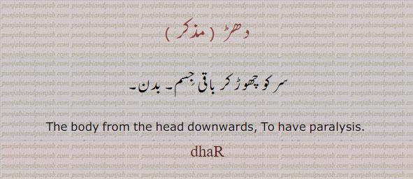  دھڑا, دھڑ, دھڑآ ,dhaRa, dhiRa, dhaRaa, dhaR ,ਧੜਾ, ਧੜ ,  