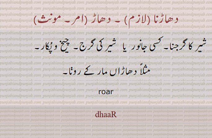 dhaaR,دھاڑ , dhaR ,roar,شیر کا گرجنا,چیخ و پکار,,,,شیر کا گرجنا,چیخ و پکار,ਧਾੜ