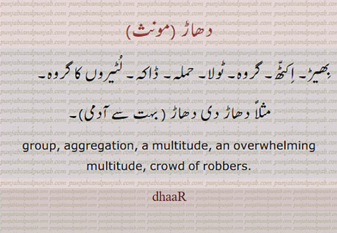 dhaaR,دھاڑ , dhaR ,  group, crowd of robbers,بھیڑ,گروہ,لٹیروں کا گروہ,,شیر کا گرجنا,چیخ و پکار,ਧਾੜ