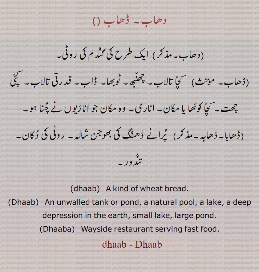  دھاب, ڈھاب,دھابا, دھابہ,ڈھابا,ڈھابہ, dhaab, Dhaab, Dhaaba, dhaab, Dhaab,  ਧਾਬ ,کچا تالاب, گندم کی روٹی ,اٹاری ,کچا مکان روٹی کی دوکان , دکان ,تندور