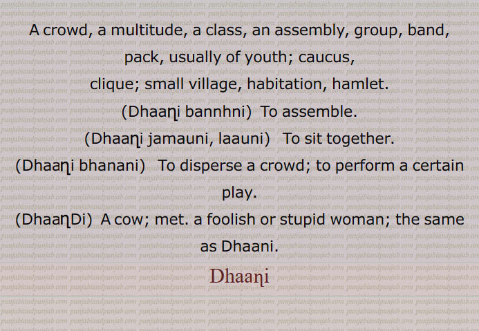    ڈھانی , ٹھانہچی,   جھانٹی, ٹھاہنچی, ڈھاہنچی,ڈھانڈی,ڈھانی بنھانی,ڈھانی جمانا,ڈھانی جمانی,ڈھانی لانا,ڈھانی لانی,  ٹھس آدمی,  crowd,Dhaani bannhni, Dhaani jamauni, Dhaani laauni,Dhaani bhanani,DhaanDi, ਢਾਂਡੀ,
ڈھانی ,Dhaani, ਢਾਣੀ,  