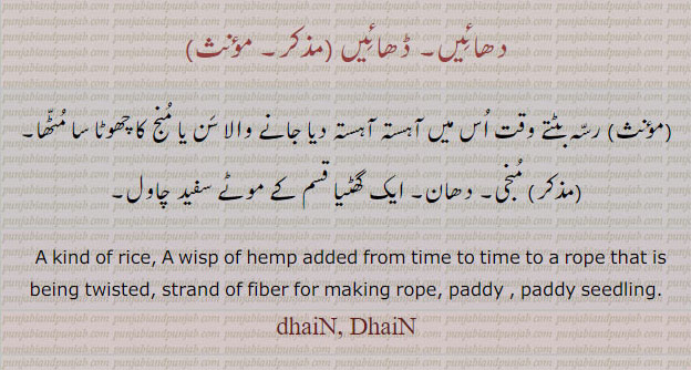  ,ਢਾਈਂ,دھائیں, ڈھائیں,dhaiN, DhaiN,ਧਾਈਂ, منجی,  چاول ,دھان ,منج کا مٹھا,kind of rice. pkaddy. wisp of hemp