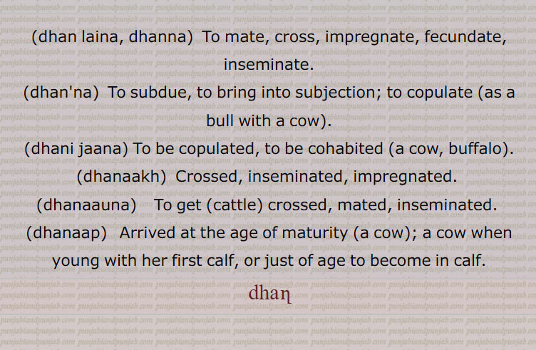  ,,دھنائی,دھنائی,دھننا,دھنوال, دھنوال,دھن والا,دھنوانا,دھنیننجنا,دھنیننجنا,دھنیننجنا,دھنیننجنا,دھنیسی,دھنینا,دھںیونا,,دھن لینا,دھناکھ,دھناپ,دھناپ,دھناپن,دھناپی,دھنارنا,دھنانا,دھناؤنا,dhan, dhanlaina, dhanna, ਧਣਨਾ, ਧਨਣਾ, dhanaauna, ਧਣਾਉਣਾ, dhanaap, ਧਨਾਪ,