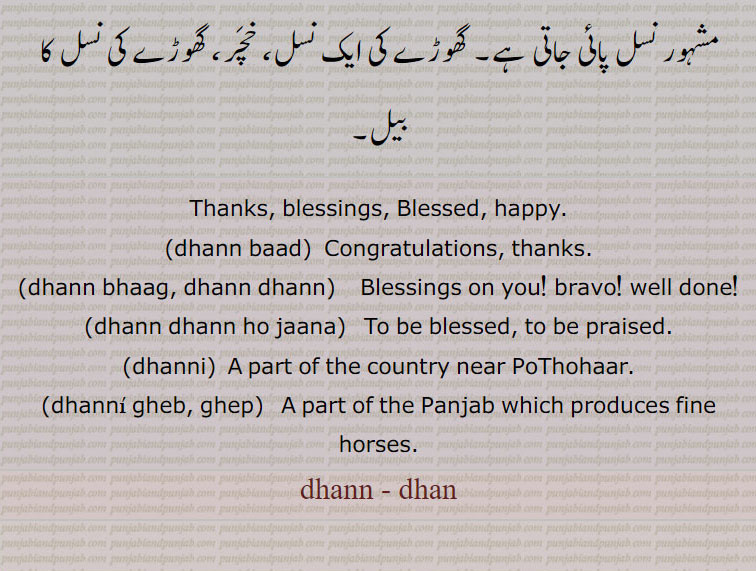  دھن,دھن باد,دھن بادی,دھن بھاگ,دھن جنم ہے,,دھن دھن کرنا,دھن دھن ہونا,دھن مان,دھن واد,دھن وادن,دھن وادی, دھن بادی, دھن واد کرنے والا,دھن یواد,دھنی,دھنی گھیب, گھیپ,dhann ,ਧੱਨ, dhann baad, dhann bhaag, dhann dhann, dhann dhann ho jaana, dhanni,  ਧੱਨੀ,,  