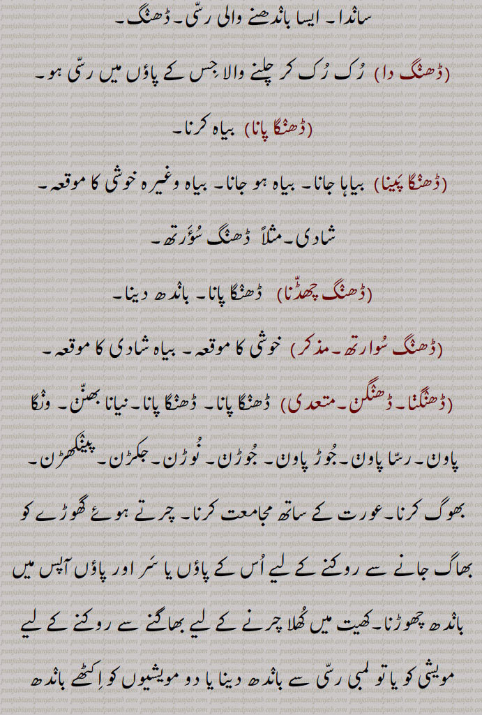  ڈھنگ,ڈھنگ بنانا,ڈھنگ جانن,ڈھنگ ڈھب,ڈھنگ سر,ڈھنگ لانا,ڈھنگ لڑانا,ڈھنگ ونگ,ڈھنگا,ڈھنکا بنانا, ڈھنگا جوڑنا,ڈھنگا مارنا,ڈھنگن,ڈھنگی,ڈھنگ لانا,ڈھنگ,ڈہنگ,ڈھنگ دا,ڈھنگا پانا,ڈھنگا پینا,ڈھنگ چھڈنا,ڈھنگ سوارتھ,ڈھنگنا,ڈھنگن,ڈھنگوں ڈھاہوں لاہ دینا,ڈھنگوان,ڈھنگواون, لمڈھنگ, ایک دریائی پرندہ,Behaviour, conduct, mode, manner, method, way; frame, mould; marriage or other festival or joyful occasion,
 mode, manner, method; a rope nsed for tying the back legs of cows or buffaloes while being milked, hobble,DhaNg waNg,DhaNga, ਢੰਗਾ,DhaNge laune,DhaNgna,ਢੰਗਣਾ,DhiNg, ਢੀਂਗ,birds,lamDhiNg,
ڈھنگ , DhaNg, ਢੰਗ,,  