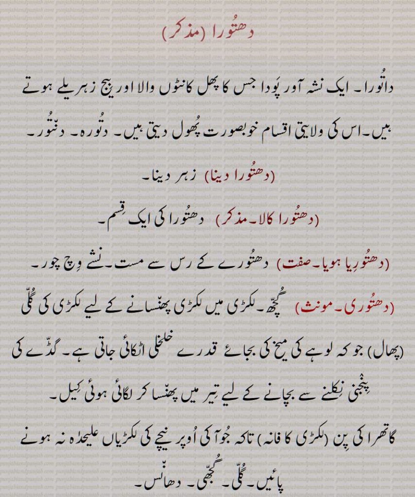    دھتورا, داتورا, ایک نشہ آور پَودا جس کا ھل کانٹوں والا اور بیج زہریلے ہوتے ہیں,اس کی ولایتی اقسام خوبصورت ھول دیتی ہیں, دتورہ, دنتور, دھتورا دینا,دھتورا کالا, دھتوریا ہویا,دھتوری,   گچھ,گلی ,ھال, لکڑی کا فانہ,گلی, گجھی, دھانس, The thorn-apple ,Datura stramonium, dattoor,dhatooria hoia, dhatoori, faanna, phaanna, dhatoora, ਧਤੂਰਾ, dhatura ,ਧਤੂਰੀ, dhaturi, dattur, ਦੱਤੂਰ , Datura stramonium, thornapple, jimsonweed , jimson weed, devil's trumpet,