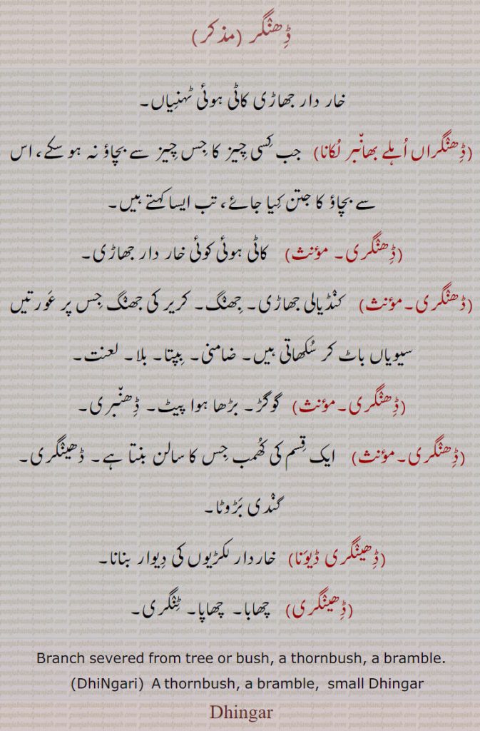 ڈھنگر,خار دار جھاڑی کاٹی ہوئی ٹہنیاں,ڈھنگراں اہلے بھانبر لکانا,   جب کسی چیز کا جس چیز سے بچاؤ نہ ہو سکے، اس سے بچاؤ کا جتن کیا جائے، تب ایسا کہتے ہیں,ڈھنگری,  کاٹی ہوئی کوئی خار دار جھاڑی,ڈھنگری,    کنڈیالی جھاڑی۔ جھنگ۔ کریر کی جھنگ جس پر عورتیں سیویاں باٹ کر سکھاتی ہیں۔ ضامنی,بپتا۔ بلا۔ لعنت,ڈھنگری۔,  گوگڑ۔ بڑھا ہوا پیٹ۔ ڈھنبری,ڈھنگری,   ایک قسم کی کھمب جس کا سالن بنتا ہے۔ ڈھینگری۔ گندی بڑوٹا,ڈھینگری ڈیونا,خاردار لکڑیوں کی دیوار بنانا,ڈھینگری,   چھابا۔  چھاپا۔ ٹنگری۔ ,Branch severed from tree or bush, a thornbush, a bramble.,DhiNgari, A thornbush, a bramble,  small Dhingar, Dhingar, Dheengar, ਢੀਂਗਰ ,ਢੀਂਗਰਢੀਂ, ਢੀਂਗਢੀਂ ਰੀ, ਢੀਂਗਰੀ, 