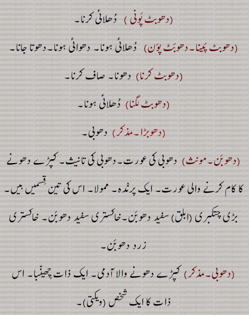    دھوب ,کشتی کا ایک داؤ,دھلائی,کپڑا دھونے کا عمل, دھوب پینا, دھوب گھر, دھوب گھاٹ , دھوبا, دھوبٹ, دھوبٹ پونی, دھوبٹ پینا,دھوبٹ پون, دھوبٹ کرنا, دھوبٹ لگنا, دھوبڑا, دھوبن, دھوبی,دھوبی پٹڑا,دھوبی پاٹ,دھوبی پٹکا, دھوبی خانہ,دھوبی گھاٹ, دھوبی گھاٹ, دھوبی لگنا, دھوبی,  عِلاج, dhoba, dhoban, dhobi, dhobi ghaaT, dhobi paTRa, dhobi, dhob, ਧੋਬਾ , ਦੋਬੀ, ਧੋਬਣ ,ਧੋਬਣ, ਧੋਬੀ,ਧੋਬੀ ਘਾਟ, ਧੋਬੀ ਪਟੜਾ ,bird, پرندہ