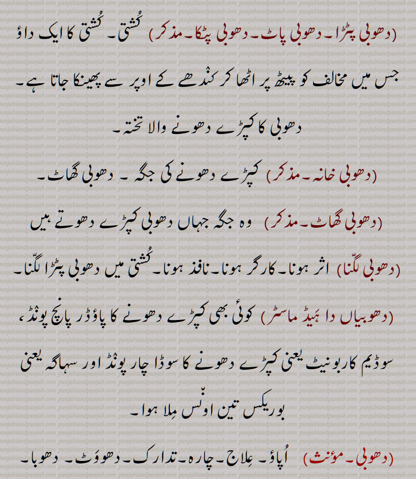    دھوب ,کشتی کا ایک داؤ,دھلائی,کپڑا دھونے کا عمل, دھوب پینا, دھوب گھر, دھوب گھاٹ , دھوبا, دھوبٹ, دھوبٹ پونی, دھوبٹ پینا,دھوبٹ پون, دھوبٹ کرنا, دھوبٹ لگنا, دھوبڑا, دھوبن, دھوبی,دھوبی پٹڑا,دھوبی پاٹ,دھوبی پٹکا, دھوبی خانہ,دھوبی گھاٹ, دھوبی گھاٹ, دھوبی لگنا, دھوبی,  عِلاج, dhoba, dhoban, dhobi, dhobi ghaaT, dhobi paTRa, dhobi, dhob, ਧੋਬਾ , ਦੋਬੀ, ਧੋਬਣ ,ਧੋਬਣ, ਧੋਬੀ,ਧੋਬੀ ਘਾਟ, ਧੋਬੀ ਪਟੜਾ ,bird, پرندہ
