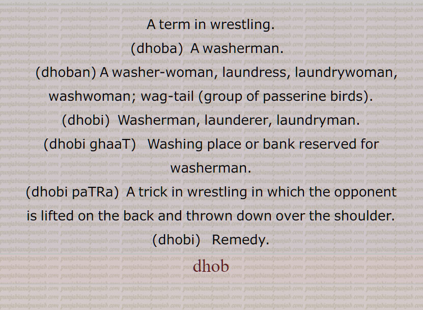    دھوب ,کشتی کا ایک داؤ,دھلائی,کپڑا دھونے کا عمل, دھوب پینا, دھوب گھر, دھوب گھاٹ , دھوبا, دھوبٹ, دھوبٹ پونی, دھوبٹ پینا,دھوبٹ پون, دھوبٹ کرنا, دھوبٹ لگنا, دھوبڑا, دھوبن, دھوبی,دھوبی پٹڑا,دھوبی پاٹ,دھوبی پٹکا, دھوبی خانہ,دھوبی گھاٹ, دھوبی گھاٹ, دھوبی لگنا, دھوبی,  عِلاج, dhoba, dhoban, dhobi, dhobi ghaaT, dhobi paTRa, dhobi, dhob, ਧੋਬਾ , ਦੋਬੀ, ਧੋਬਣ ,ਧੋਬਣ, ਧੋਬੀ,ਧੋਬੀ ਘਾਟ, ਧੋਬੀ ਪਟੜਾ ,bird, پرندہ