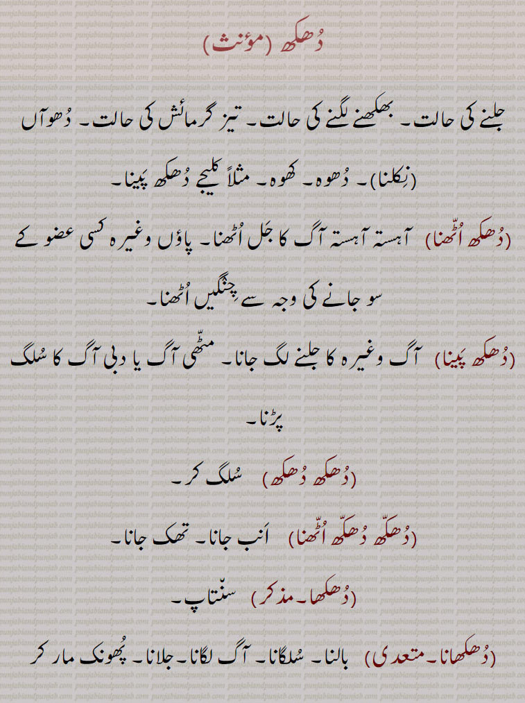    دھکھ دھکھی,دھکھ دھکھی لگنا ,دھکھنا,دھکھنی,دھکھ دھکھا,دھکھانا,دھکھا,دھکھ دھکھ اُٹھنا,دھکھ دھکھ,دھکھ, پینا ,دھکھ اٹھنا, dhukh , ਧੁਖ, dhookh,   ਧੂਖ,دھوکھ جلانا,دھوکنا ,دھوکھ کڈھنا,دھوکھ , shahmukhi to urdu, English, meaning in Urdu,meaning in English, Dictionary,Punjabi To Urdu Translation,Shahmukhi Punjabi, شاہ مکھی پنجابی لغت, ਪੰਜਾਬੀ, 
