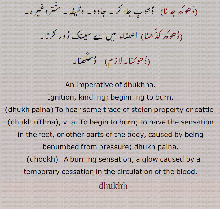    دھکھ دھکھی,دھکھ دھکھی لگنا ,دھکھنا,دھکھنی,دھکھ دھکھا,دھکھانا,دھکھا,دھکھ دھکھ اُٹھنا,دھکھ دھکھ,دھکھ, پینا ,دھکھ اٹھنا, dhukh , ਧੁਖ, dhookh,   ਧੂਖ,دھوکھ جلانا,دھوکنا ,دھوکھ کڈھنا,دھوکھ , shahmukhi to urdu, English, meaning in Urdu,meaning in English, Dictionary,Punjabi To Urdu Translation,Shahmukhi Punjabi, شاہ مکھی پنجابی لغت, ਪੰਜਾਬੀ, 
