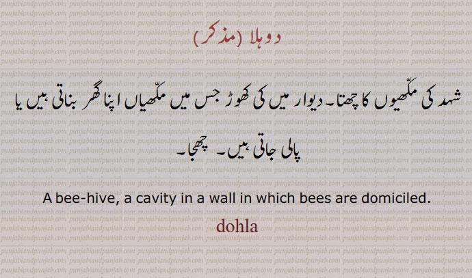      ਦੋਹਲਾ, چھتا,دوہلا ,شہد کی مکّھیوں کا چھتا۔دیوار میں کی کھوڑ جس میں مکّھیاں اپنا گھر بناتی ہیں یا پالی جاتی ہیں۔  چھجا,A bee-hive, a cavity in a wall in which bees are domiciled.,dohla 
