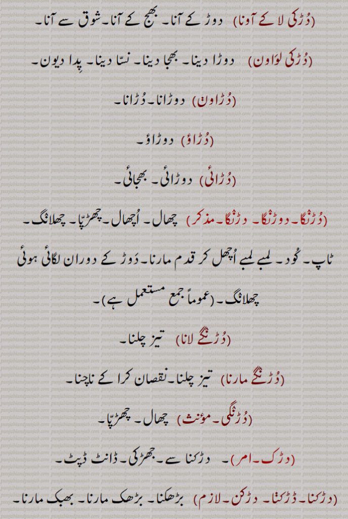   دڑک ,نکی نکی دوڑ,مٹھی مٹھی چال, گھوڑے کی ایک چال، دلکی,دڑک لاونا,دڑکڑاں,دڑکنا,دڑکن,بھجنا,نٹھنا,دڑکانا,دڑکاون,دڑکی,دڑکی  پینا,دڑکی جانا,دڑکی ٹرنا,دڑکی ٹرن,دڑکی لانا,دڑکی لا کے آونا,دڑکی لواون,دڑاون,دڑاؤ,دڑائی,دڑنگا,دوڑنگا,دڑنگا,دڑنگے لانا,  تیز چلنا,دڑنگے مارنا,دڑنگی,چھال, چھڑپا,دڑک,جھڑکی,ڈانٹ ڈپٹ,دڑکنا,ڈڑکنا, دڑکن,بڑھکنا, بڑھک مارنا,دڑکا,دڑکا داب,دڑکا دباچا,دڑکے دباچے,دڑکا دینا,دڑکا ڈیونا,دھمکانا,دڑکا مارنا,دڑکانا,دڑکاون,سہم جانا,دبک جانا, دب جانا,دڑکائے ,دڑوکن,  ڈکارن,دڑگا,   درگا,دڑگے مارنا,دڑگانا,دڑَگ,دڑَگی,دڑنگی,دڑگے مارنا, A type of walk of a horse, running, duRki,  ਦੁੜਕੀ,Trot,daRka,  Threat,daRka dabaacha,daRka dewan, daRkna,  ਦਡ਼ਕਣਾ, daRkka,   ਦਡ਼ੱਕਾ, Crouching, daRkka maarna, to awe, daRkana, ਦਡ਼ਕਣਾ, duRk, ਦੁੜਕ,  