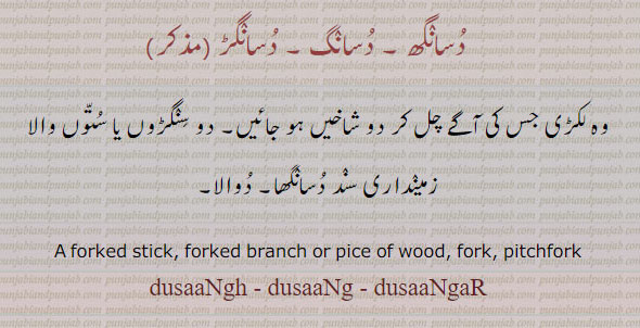  dusangi,ਦੁਸਾਂਗੀ,دُسانگی, forked stick. forked branck or pice of wood. fork. pitchfork. dusaangh, dusaang, dusaangar,dusangh. dusang. dusangar., دسانگھ۔ دسانگ۔ دسانگڑ۔ لکڑی جس کے اگے چل کر دو شاخیں ہو جائیں۔ دو سنگڑوں یا ستون والا زمینداری سند دسانگھا۔ دوالا۔  