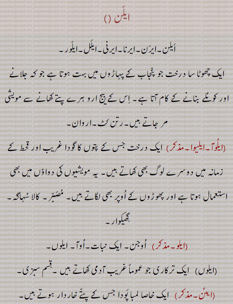    ایلن , ایرن۔ایرنا۔ایرنی۔ایلل۔ایلور, ایک چھوٹا سا درخت جو پنجاب کے پہاڑوں میں بہت ہوتا ہے جو کہ جلانے اور کوئلے بنانے کے کام آتا ہے۔ اس کے بیج ارو ہرے پتے کھانے سے مویشی مر جاتے ہیں۔رتن کٹ۔اروان, ایلوآ۔ایلیوا , ایک درخت جس کے پتوں کا گودا غریب اور قحط کے زمانہ میں دوسرے لوگ بھی کھاتے ہیں۔ یہ مویشیوں کی دواؤں میں بھی استعمال ہوتا ہے اور پھوڑوں کے اوپر بھی لگاتے ہیں۔ مصبر۔ کالا سہاگہ۔ گھیکوار, ایلو,   اوجن۔ ایک نبات۔اوآ۔ ایلوں, ایلوں,   ایک ترکاری جو عموماً غریب آدمی کھاتے ہیں ۔قسم سبزی, ایئن,  ایک خاصا لمبا پودا جس کے پتے خاردار ہوتے ہیں۔
Eran, erna, elal, eilaur, a small tree (Andromeda ovalifolia) abundant in many parts of the Panjab Himalaya. The seeds and young leaves are poisonous to cattle, and to goats in the spring months only. The wood is soft and weak, and used for fuel and charcoal only., elooa,  aloe. , elwa,   A plant (Aloe perfoliata) occasionally cultivated by faqirs throughout the Panjab plains. The pulp of the leaves (after removing their skin) is eaten by poor people and in famines. It is also applied to boils, and is used in veterinary medicine. , ein,   A fine tall nettle (Urtica heterophylla) with immense leaves and a vigorous sting, which is not uncommon in many places of the Panjab Himalaya. Its stems are often employed for making twine and ropes by the dry process, but they perish quickly from wet., eloN, A vegetable eaten by poor people.,elan,,Eran, ਏਰਨ; Erna, ਏਰਨਾ; Elal , ਏਲਲ ; Eilaur , ਏਲੌਰ , elooa, ਏਲੂਆ , aloe, elwa, ਏਲੇਵਾ ,  ਏਲੋਂ , ਏਇਨ,
 eran ,ਏਰਨ, Eilan, ਏਲਨ