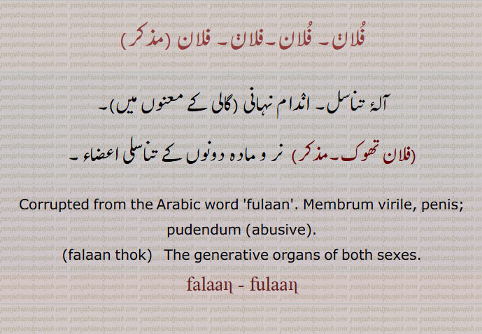   فلان۔ فلان,آلۂ تناسل۔ اندام نہانی ,گالی کے معنوں میں, فلان تھوک,  نر و مادہ دونوں کے تناسلی اعضاء۔شرم گاہ۔,Corrupted from the Arabic word 'fulaan'. Membrum virile, penis; pudendum ،abusive, falaan thok,  The generative organs of both sexes.,falaan, fulaan 