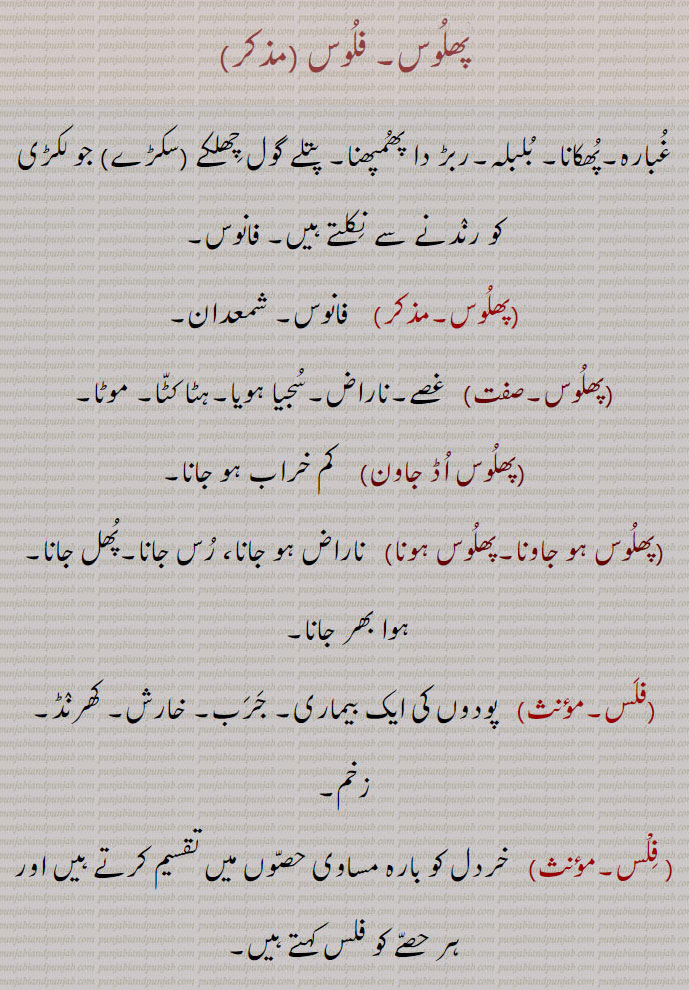    پھلوس, فلوس , phaloos,phuloos, faloos, phloos, floos,phalus,phulus, falus,ਫਲੂਸ, پھلوس ہو جاونا, فلوس,پھلوس ہونا ,پھلوس اڈ جاون,  