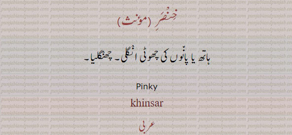  خنصر, بنصر,وسطی,سبابہ,ابہام, binsar, khinsar,wusta sababah, ibham ,kalmay,ਖ਼ਨਸਰ, ਬਨਸਰ,ਵਸਤੀ,ਸੁਬਹ ਬਾ,ਅਬਹਾਮ,finger names,  انگلیاں اے ناں, انگوٹھا۔,درمیانی انگلی, چھضوٹی انگلی, چھنگلیا, شہادت کے ساتھ کی, پہلی انگلی , index, middle finger, thumb, ring finger,pinky finger,