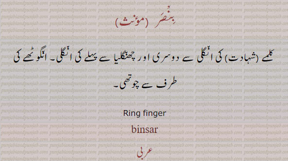  خنصر, بنصر,وسطی,سبابہ,ابہام, binsar, khinsar,wusta sababah, ibham ,kalmay,ਖ਼ਨਸਰ, ਬਨਸਰ,ਵਸਤੀ,ਸੁਬਹ ਬਾ,ਅਬਹਾਮ,finger names,  انگلیاں اے ناں
انگوٹھا۔درمیانی انگلی۔ چھضوٹی انگلی۔ چھنگلیا۔ شہادت کے ساتھ کی۔پہلی انگلی 
index, middle finger, thumb, ring finger,pinky finger,