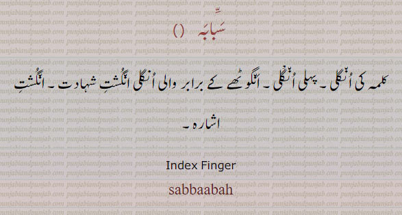  خنصر, بنصر,وسطی,سبابہ,ابہام, binsar, khinsar,wusta sababah, ibham ,kalmay,ਖ਼ਨਸਰ, ਬਨਸਰ,ਵਸਤੀ,ਸੁਬਹ ਬਾ,ਅਬਹਾਮ,finger names,  انگلیاں اے ناں
انگوٹھا۔درمیانی انگلی۔ چھضوٹی انگلی۔ چھنگلیا۔ شہادت کے ساتھ کی۔پہلی انگلی 
index, middle finger, thumb, ring finger,pinky finger,