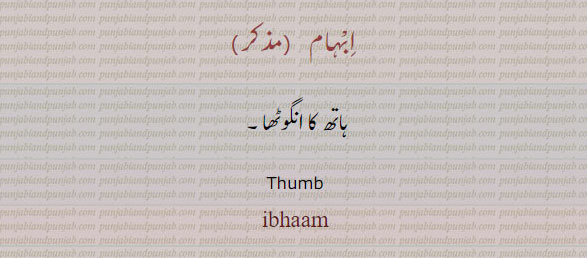  خنصر, بنصر,وسطی,سبابہ,ابہام, binsar, khinsar,wusta sababah, ibham ,kalmay,ਖ਼ਨਸਰ, ਬਨਸਰ,ਵਸਤੀ,ਸੁਬਹ ਬਾ,ਅਬਹਾਮ,finger names,  انگلیاں اے ناں
انگوٹھا۔درمیانی انگلی۔ چھضوٹی انگلی۔ چھنگلیا۔ شہادت کے ساتھ کی۔پہلی انگلی 
index, middle finger, thumb, ring finger,pinky finger,