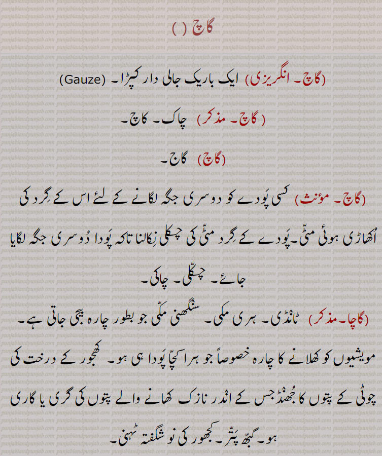  گاچ, ایک باریک جالی دار کپڑا۔ ,Gauze, , چاک۔ کاچ, گاج۔,  کسی پودے کو دوسری جگہ لگانے کے لئے اس کے گرد کی اکھاڑی ہوئی مٹی۔پودے کے گرد مٹی کی چکلی نکالنا تاکہ پودا دوسری جگہ لگایا جائے۔ چکلی۔ چاکی,گاچا,   ٹانڈی۔ ہری مکی۔ سنگھنی مکی جو بطور چارہ بیجی جاتی ہے۔مویشیوں کو کھلانے کا چارہ خصوصاً جو ہرا کچا پودا ہی ہو۔  کھجور کے درخت کی چوٹی کے پتوں کا جھنڈجس کے اندر نازک  کھانے والے پتوں کی گری یا گاری ہو۔گبھ پتر۔کجھور کی نو شگفتہ ٹہنی,گاچی, گاچ۔ بڑی ٹکیہ صابن وغیرہ کی۔صابن جیسی کسی بھی چیز کی ٹکیہ۔ چاکی۔ کسی چیز کا ایک حصہ کاٹنا۔ دنبے کی چربدار دم۔ موٹی دم والی بھیڑ۔ گاجنی۔چک مارنے کی حالت , جبکہ دانت گوشت میں گچ سے دھنس جاتے ہیں, بھرنا۔ کڈھنا۔ مارنا۔,گاچنی,  گاجنی,گاچْنی, چکنی مٹی جس سے تختی ( لکڑی کی سلیٹ) وغیرہ پوتی جاتی ہے،  جس پر فارسی حروف تہجی کو اسکول کے بچے مشق کے طور پر لکھتے ہیں,اچْنی مٹی.  گاچنی.گاچی.  کڑی تختے کی چھت پر ڈالنے کے لیے ملبے کی مٹی کا بنایا ہوا (ٹھوس) گارا۔دھابا. گاج۔ پہاڑی مرچ.گاچ گرے۔فقرہ)  (کوسنا) بجلی گر جائے۔ مر جائے.گاچا.  گاجا۔,  gaach, ਗਾਚ,gaachi, ਗਾਚੀ,gaachani,ਗਾਚਣੀ,gaacha, ਗਾਚਾ,gaach, gauze,  