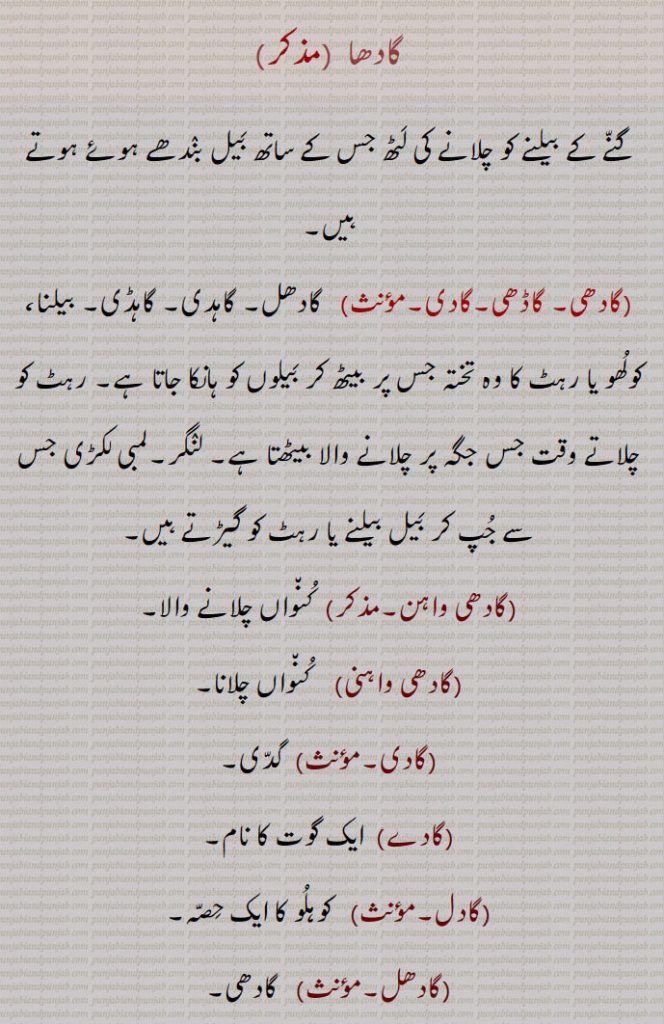   گادھا,گادھی, گاڈھی,گادی,گادھی واہن,گادھی واہنی,گادے,گادل,گادھل,گادھ,گاد,گاد اٹھانا,گاڈھوں,گاذر,دھوبی, driving-beam,gaadhi, gaadhi,  gaadi, gaadhoon, ass, gaazar, dhobi,washes clothes, گادھا,gaadha,ਗਾਧਾ ,gaadhi, gaadhi, gaadi, ਗਾਢੀ , ਗਾਧੀ,,گاڈھوں,gadhoon,,ਗਢੂੰ,,  