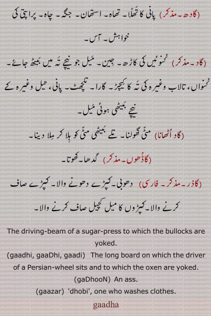   گادھا,گادھی, گاڈھی,گادی,گادھی واہن,گادھی واہنی,گادے,گادل,گادھل,گادھ,گاد,گاد اٹھانا,گاڈھوں,گاذر,دھوبی, driving-beam,gaadhi, gaadhi,  gaadi, gaadhoon, ass, gaazar, dhobi,washes clothes, گادھا,gaadha,ਗਾਧਾ ,gaadhi, gaadhi, gaadi, ਗਾਢੀ , ਗਾਧੀ,,گاڈھوں,gadhoon,,ਗਢੂੰ,,  