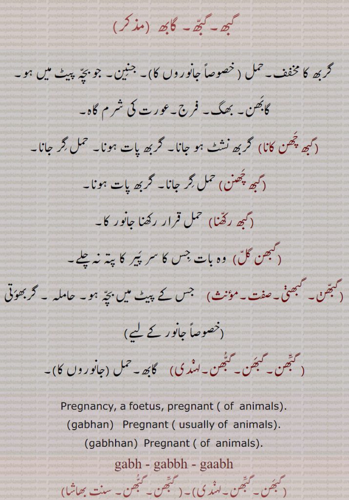    گبھ, گابھ , گربھ,حمل,گابھن,گبھ  گبھ, گابھ , گربھ,حمل,گابھن,گبھ چھن کانا, گربھ نشٹ , گربھ پات,گبھ چھنن,گبھ رکھنا,گبھن گل,گبھن, گبھنی,گبھن,گبھن,گبھن,    عورت کی شرم گاہ۔ جنین۔ بھگ۔فرج۔ حمل۔ گربھ نشٹ ہو جانا۔ گربھ پات ہونا۔ حمل گر جانا۔ وہ بات جس کا سر پیر نہ ہو۔ حاملہ گربھوتی۔جاوروں کا حمل۔,gabhan,gabhhan,gabh, gabhh , gaabh, ਗਾਭ, ਗਭ, ਗੱਭ, گبھن,گبھ, گابھ,gabh, gabhh , gaabh, ਗਾਭ,ਗਭ,ਗੱਭ ,  pregnancy foetus pregnant of animal. 