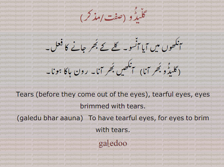   گلیڈو ,galedu,ਗਲ਼ੇਡੂ,galedoo bhar aauna, ਗਲ਼ੇਡੂ ਭਰ ਆਉਣਾ , آنسو 