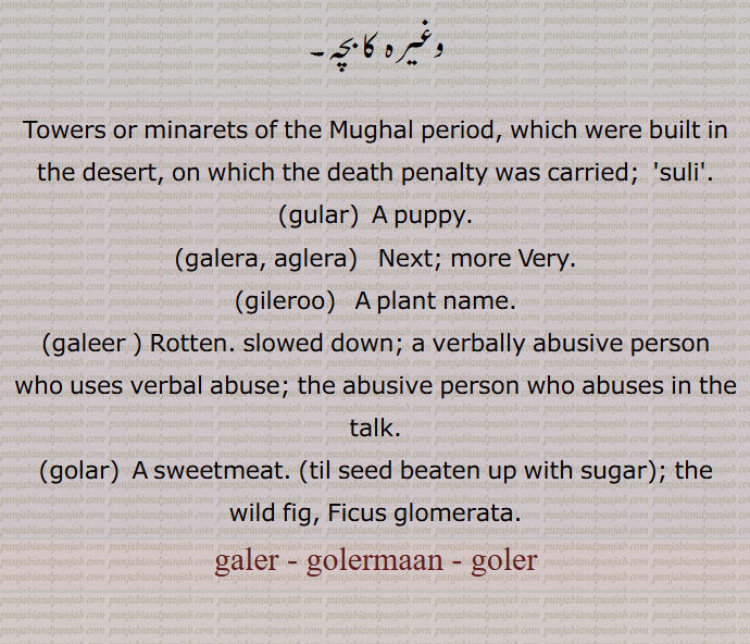   گلیر,گولیر,گولیرماں,سولی,گل دی پھاہی,گلیرا,اگلیرا,گلیرو,  گدیروا,گولر, بھگا,کلر,گلھر,گلہرآ, کاٹھ گلر, ددھوری,پلاک,گولرا,گلر,کتورا,galer,suli,gular,ਗੁਲਰ ,A puppy,galera, aglera,gileroo,galeer ,golar,  ਗੋਲਰ,گلیر, گولیر, گولیرماں,galer,  golermaan, goler ,ਗਲੇਰ,ਗੋਲੇਰ,ਗੋਲੇਰ ਮਾਂ, ਗੋਲਰ,ਗੁਲਰ,  