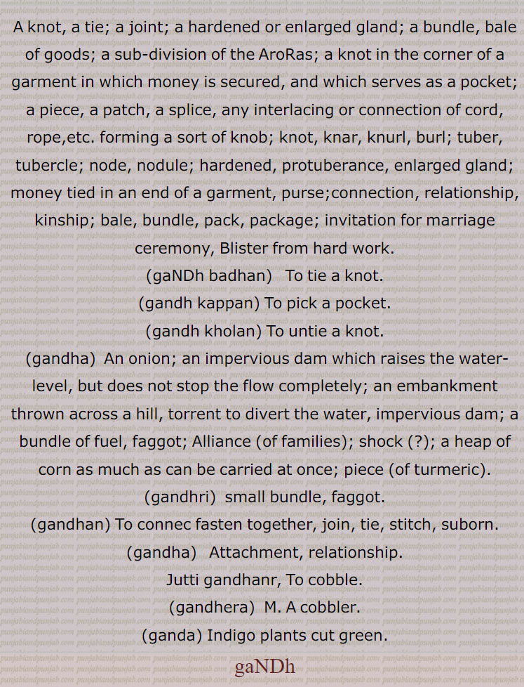  گنڈھ,   گنڈھ ,گنڈھ بنھنا,گنڈھ بھیجنا, گنڈھ پھیرنا  ,  گنڈھ پانا ,گنڈھ ہوونا,گنڈھ پلے ہونا, گنڈھ پینا , گنڈھ پے جانا,گنڈھ تپ,گنڈھ ترپ,گنڈھ چتراوا,,  گنڈھ چھوڑ ,گنڈھ چھوڑا,گٹھ چھوڑا, گنڈھ دا پورا , گنڈھا,گنڈھ دا مال,گنڈھ دینا,گٹھ دینا,گنڈھ کپ,گنڈھ کپنا,  گنڈھ کپیجنا ,گنڈھ کٹنا,گنڈھ وڈھنا, گنڈھ کھولنا, گنڈھا, گنڈھ گوبھی,گنڈھ گھلنا,گنڈھ گہیر,گنڈھ لینا,گنڈھ لپی, گنڈھ وڈھنا ,گنڈھانا,گنڈھڑ, گنڈھڑی, گنڈھل,گنڈھنا,گنڈھوانا,  "گنڈھوائی ,گنڈھوں خالی,گنڈھی, گنڈھی پینیاں , گنڈھا,گنڈھی پینا,گنڈھی بدھنا,گنڈھی چھورا,گنڈھے جانا,گنڈھیا جانا,گنڈھیرا,گنڈھیں بنھنا,گنڈھیں پاؤنا,  گنڈھیں پوانا ,گنڈھیں گننا,گنڈھیں گھتنا, گنڈھیندیاں, گنڈھا,گنڈھا,گنڈھے گڈ,  گنڈھ پاؤنی,گنڈھیرا,گنڈہ, گنڈھیندا , گنڈھا,گنڈھیا,گنڈھیسی,گنڈھیجن,گنڈھواون,              گرہ , گانٹھ, گونڈھ, رسی, گٹھی, گتھی, جوڑ, جڑ, جیب , کھیسہ, کاٹھی, شادی کی تاریخ,   gandh, knot, joint, kpatch, gandh badhan., gandh kappan, gandh kholan, gandha, gandhri, gandhera, ganda,  attadchment, bundle