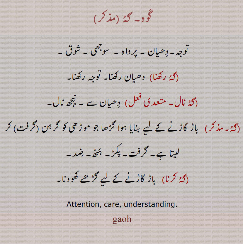  گوہ۔ گہ ,توجہ۔دھیان ۔ پرواہ ۔  سوجھی ۔ شوق ,گہ گوہ رکھنا,  دھیان رکھنا۔ توجہ رکھنا,گہ نال, دھیان سے ۔ نیجھ نال,گہ,  باڑ گاڑنے کے لیے بنایا ہوا گڑھا جو موڑھی کو گرہن (گرفت) کر لیتا ہے۔ گرفت۔ پکڑ۔ ہٹھ۔ ضد,گہ گوہ کرنا,   باڑ گاڑنے کے لیے گڑھے کھودنا۔،keen Attention, care, understanding. gaoh, ਗੌਹ,