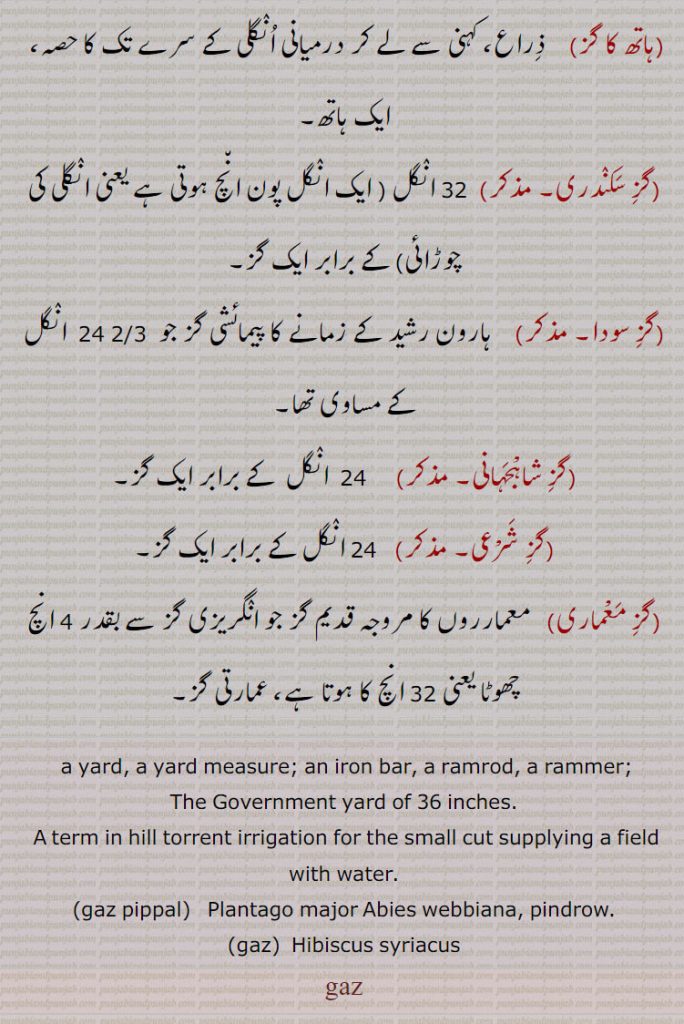  گز,gaz,ਗਜ,gaz,گز بھر, گز بھر دی زبان, گز بھر دا, گز پپل, گز پھیرنا, گز دھر, گز کُ, گز کرنا ,گز گھتنا, گز مارنا, کزانا, گزانے, گزی, گزی بر , گزی در, گزیں, گزے چڑھنا, گز, گزلائی,ہاتھ گز, فز سکندری, گز سودا, گز شاہجہانی, گز شرعی, گز معماری, ذراع ,  