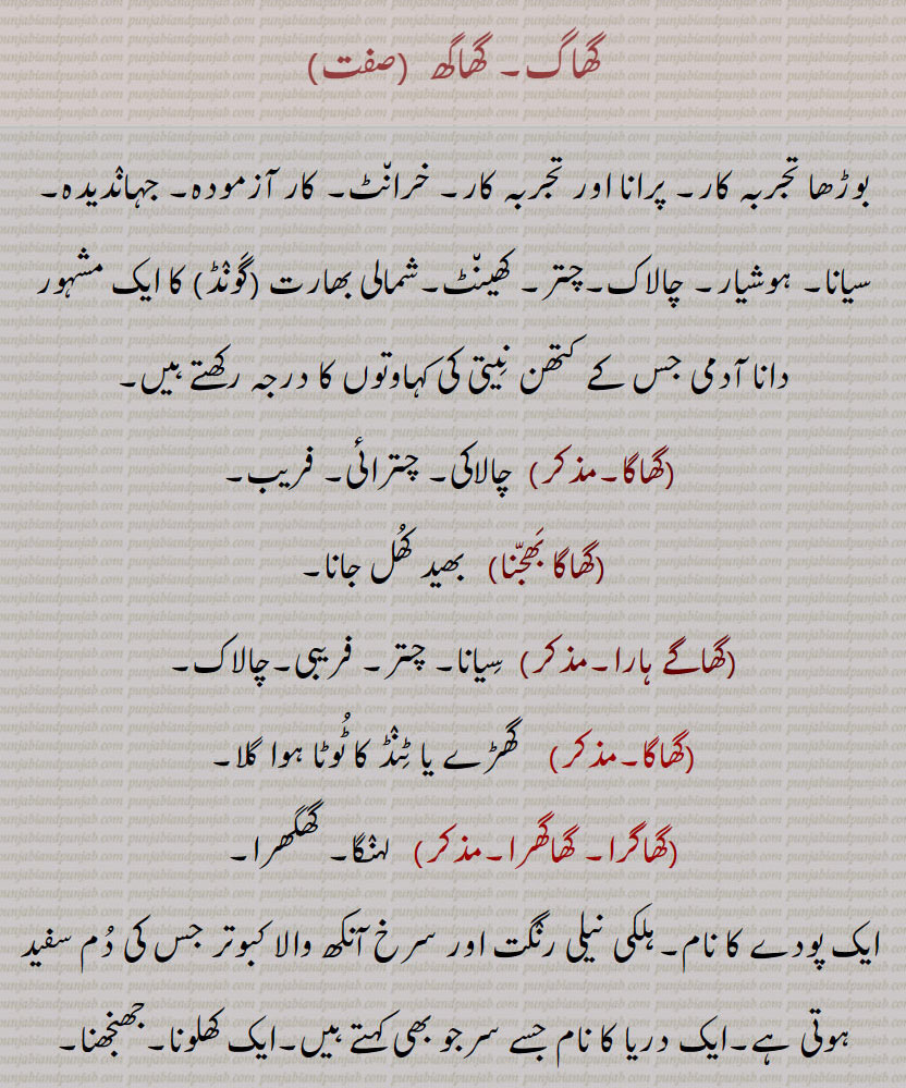   گھاگ,گھاگھ,گھاگا,گھاگے ہارا,گھاگرا, گھاگھرا,گھاگرا پلٹن, گھاگرہ پلٹن,گھاگھر, گاگر,گھاگھری, experienced, wise, cunning, ,ghaaga,  ਘਾਗਾ ,ghaage haara,ghagg,  ਘੱਗ ,ghaggaan,ghagga,  ਘੱਗਾ ,12th Gurmukhi letter,ਘ,ghaggara,  ਘੱਗਰਾ,ghaaghra,  ਘਾਘਰਾ, A skirt,ghaggari bhuRkauni, petticoat,ghaagra palTan,ghagrel,  ਘਗਰੇਲ , ghaag, ghaagh, ਘਾਗ ,ਘਾਘ, 